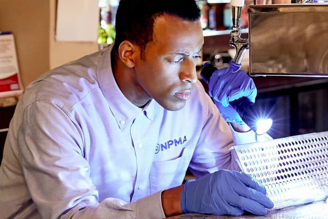 Copy Of Careers In Action TEMPLATE 3 (5)