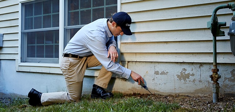 Exterminator Job Is Exterminator a Good Job & How Much Do Exterminators Make?