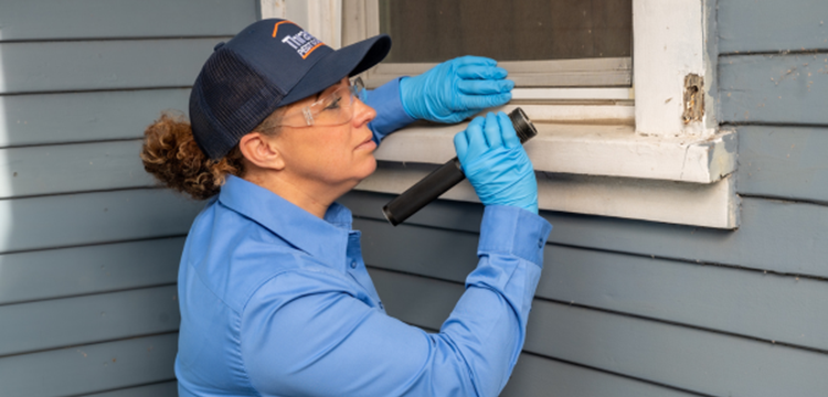 Becoming an Exterminator: How to Get a Job in Pest Control